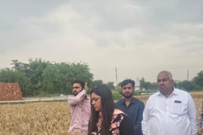 The District Magistrate formed survey teams to assess crop damage caused by strong winds, rain, and hail. IMAGE CREDIT TO INFORMATION DEPARTMENT