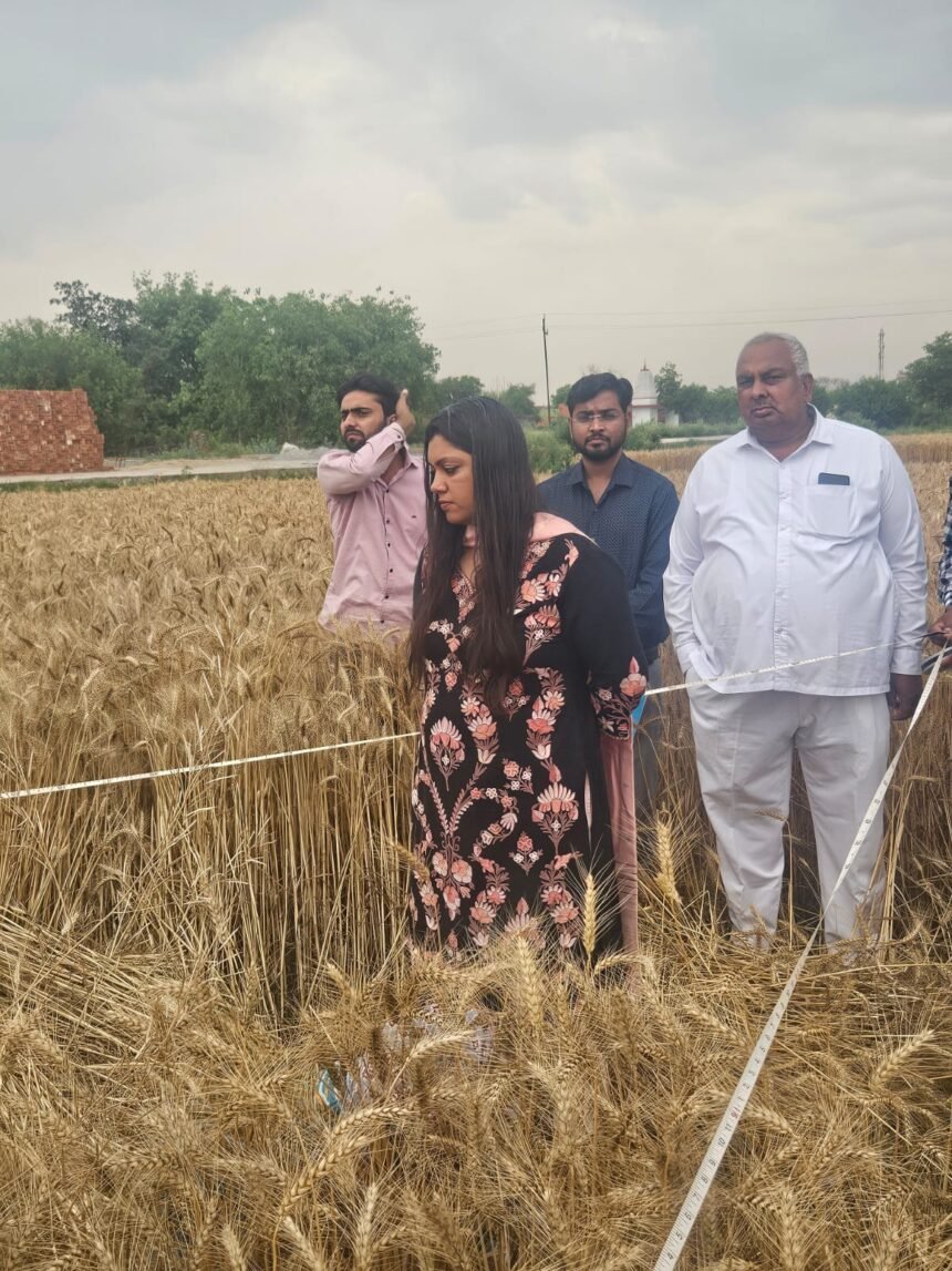 The District Magistrate formed survey teams to assess crop damage caused by strong winds, rain, and hail. IMAGE CREDIT TO INFORMATION DEPARTMENT