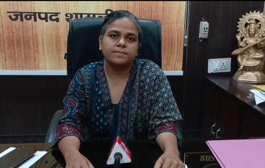 ₹46 lakh scam exposed in PM SHRI schools; services of DC Construction terminated. IMAGE CREDIT TO बीएसए फाइल फोटो