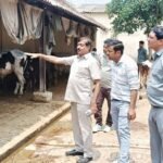 Chairman Arvind Sangal conducted a surprise inspection at Kanha Gaushala and issued instructions to improve the arrangements. IMAGE CREDIT TO नगर पालिका