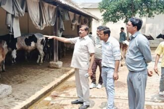 Chairman Arvind Sangal conducted a surprise inspection at Kanha Gaushala and issued instructions to improve the arrangements. IMAGE CREDIT TO नगर पालिका