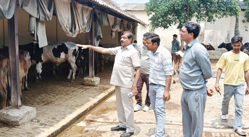 Chairman Arvind Sangal conducted a surprise inspection at Kanha Gaushala and issued instructions to improve the arrangements. IMAGE CREDIT TO नगर पालिका