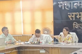 DM strict on arrangements in cow shelters amid intense heat; clear instructions issued to officials IMAGE CREDIT TO सूचना विभाग