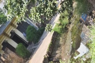 Discontent among farmers over the working style of the Irrigation Department as crops face drying due to water shortage. IMAGE CREDIT TO REPORTER