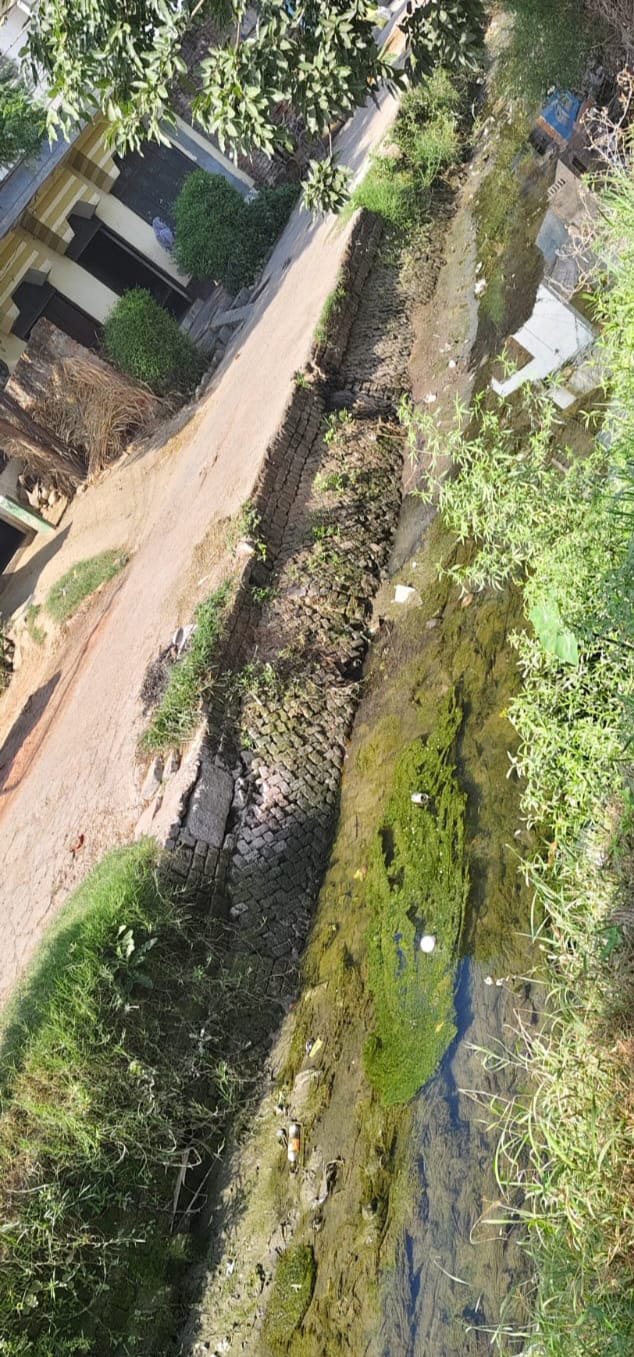 Discontent among farmers over the working style of the Irrigation Department as crops face drying due to water shortage. IMAGE CREDIT TO REPORTER
