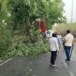 Trees fell on roads due to a strong storm; municipal corporation cleared the blocked roads — IMAGE CREDIT TO NAGAR NIGAM