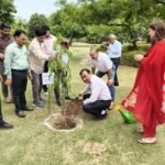 Major Step by Ghaziabad Development Authority (Ghaziabad Development Authority) Toward Making Ghaziabad a Green City: Target to Plant 1.5 Lakh Saplings on World Environment Day – IMAGE CREDIT TO प्राधिकरण