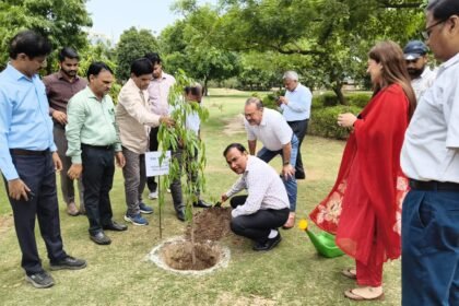 Major Step by Ghaziabad Development Authority (Ghaziabad Development Authority) Toward Making Ghaziabad a Green City: Target to Plant 1.5 Lakh Saplings on World Environment Day – IMAGE CREDIT TO प्राधिकरण
