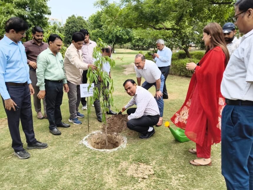 Major Step by Ghaziabad Development Authority (Ghaziabad Development Authority) Toward Making Ghaziabad a Green City: Target to Plant 1.5 Lakh Saplings on World Environment Day – IMAGE CREDIT TO प्राधिकरण
