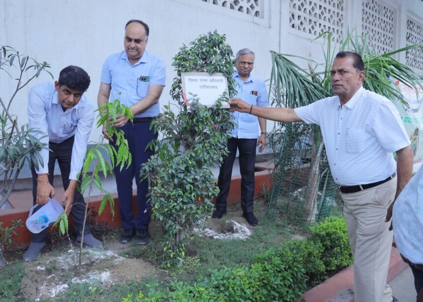 Extensive Tree Plantation Conducted in Modinagar on World Environment Day – IMAGE CREDIT TO REPORTER