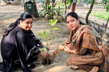On World Environment Day, Judges Planted Saplings; Painting Competition Held in School – IMAGE CREDIT TO INFORMATRION DEPARTMENT