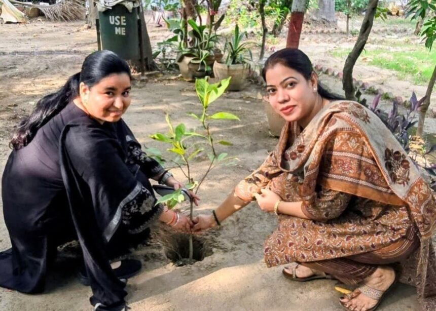 On World Environment Day, Judges Planted Saplings; Painting Competition Held in School – IMAGE CREDIT TO INFORMATRION DEPARTMENT