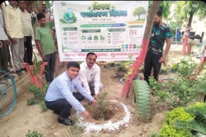 On World Environment Day, Judges Planted Saplings; Painting Competition Held in School – IMAGE CREDIT TO रिपोर्टर