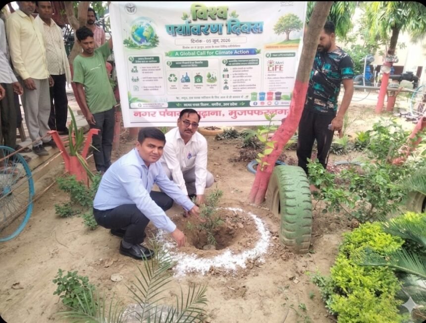 On World Environment Day, Judges Planted Saplings; Painting Competition Held in School – IMAGE CREDIT TO रिपोर्टर