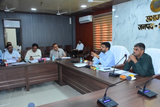 Negligence in power supply and revenue collection will not be tolerated: DM — IMAGE CREDIT TO सूचना विभाग