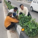 ‘Green Doon’ Pledge: MDDA’s Target of One Lakh Saplings, Banshidhar Tiwari Himself Came Out on the Roads IMAGE CREDIT TO प्राधिकरण