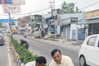 ‘Green Doon’ Pledge: MDDA’s Target of One Lakh Saplings, Banshidhar Tiwari Himself Came Out on the Roads IMAGE CREDIT TO प्राधिकरण
