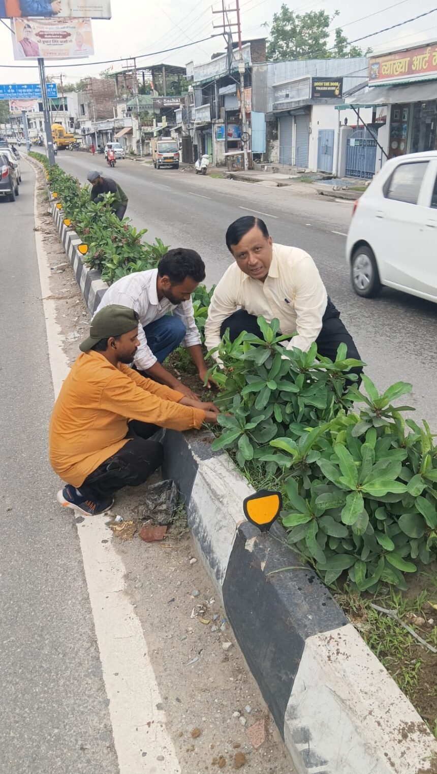 ‘Green Doon’ Pledge: MDDA’s Target of One Lakh Saplings, Banshidhar Tiwari Himself Came Out on the Roads IMAGE CREDIT TO प्राधिकरण