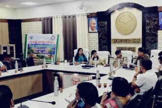 12.64 Lakh Saplings to Be Planted in the District on July 12; District Magistrate Issues Instructions for Extensive Preparations IMAGE CREDIT TO सूचना विभाग