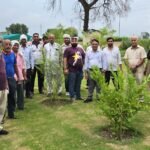Ghaziabad: 'Green Ghaziabad' slogan echoes in Madhuban Bapudham; GDA conducts massive tree plantation drive. IMAGE CREDIT TO प्राधिकरण