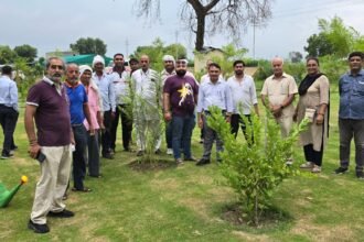 Ghaziabad: 'Green Ghaziabad' slogan echoes in Madhuban Bapudham; GDA conducts massive tree plantation drive. IMAGE CREDIT TO प्राधिकरण