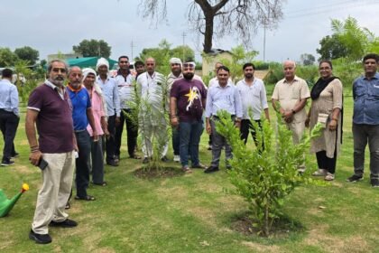 Ghaziabad: 'Green Ghaziabad' slogan echoes in Madhuban Bapudham; GDA conducts massive tree plantation drive. IMAGE CREDIT TO प्राधिकरण