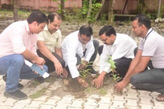 Tree Plantation Carried Out at the District Hospital Under the "Ek Ped Maa Ke Naam" Campaign IMAGE CREDIT TO चिकित्सा विभाग