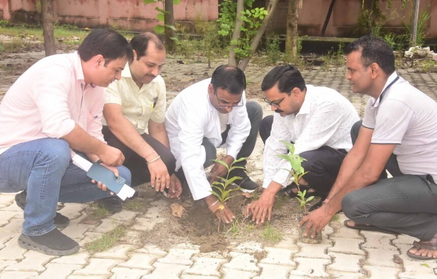 Tree Plantation Carried Out at the District Hospital Under the "Ek Ped Maa Ke Naam" Campaign IMAGE CREDIT TO चिकित्सा विभाग