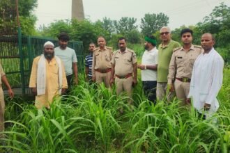 Leopard Spotted in Khudliya Forest; Forest Department Sets Up Cage for Villagers’ Safety IMAGE CREDIT TO वन विभाग