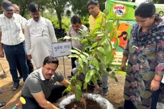 HPDA Achieves Plantation Target of 19,035 Saplings; Extensive Tree Plantation Conducted Under the "One Tree in Mother's Name" Campaign | IMAGE CREDIT TO प्राधिकरण
