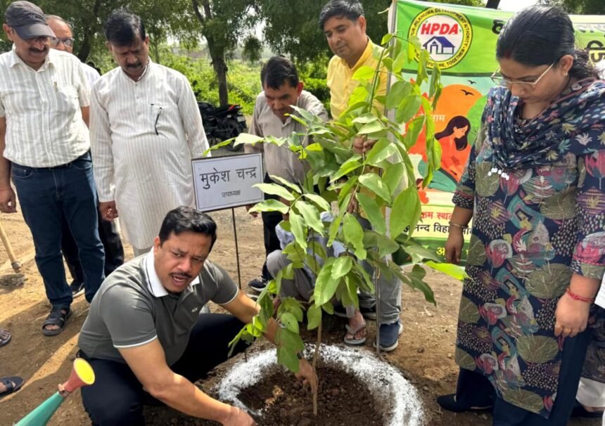 HPDA Achieves Plantation Target of 19,035 Saplings; Extensive Tree Plantation Conducted Under the "One Tree in Mother's Name" Campaign | IMAGE CREDIT TO प्राधिकरण