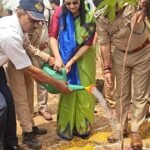 Large-Scale Tree Plantation Conducted at Kurana Toll Plaza Under the "One Tree in Mother's Name" Campaign; Emphasis Laid on Public Participation | IMAGE CREDIT TO सूचना विभाग