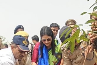 Large-Scale Tree Plantation Conducted at Kurana Toll Plaza Under the "One Tree in Mother's Name" Campaign; Emphasis Laid on Public Participation | IMAGE CREDIT TO सूचना विभाग