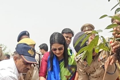 Large-Scale Tree Plantation Conducted at Kurana Toll Plaza Under the "One Tree in Mother's Name" Campaign; Emphasis Laid on Public Participation | IMAGE CREDIT TO सूचना विभाग