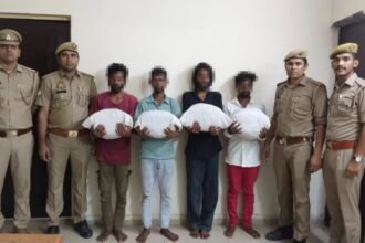 Under Operation Prahar, Crossings Republik Police Recover Large Consignment of Illegal Cannabis; 4 Accused Arrested | IMAGE CREDIT TO पुलिस