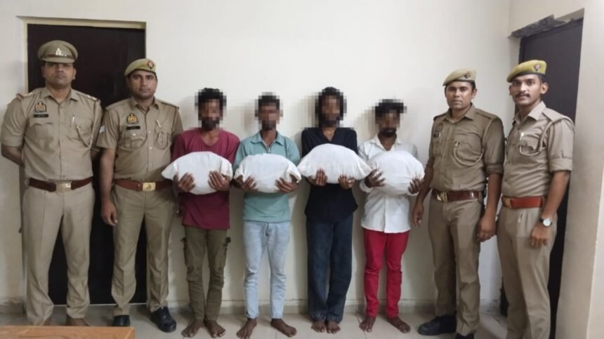 Under Operation Prahar, Crossings Republik Police Recover Large Consignment of Illegal Cannabis; 4 Accused Arrested | IMAGE CREDIT TO पुलिस