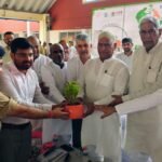Shamli Surpasses Tree Plantation Target, Over 1.587 Million Saplings Planted; Special Emphasis Laid on Their Conservation | IMAGE CREDIT TO सूचना विभाग