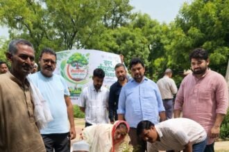 Nagar Panchayat Conducts Tree Plantation Under the "One Tree in Mother's Name" Campaign | IMAGE CREDIT TO रिपोर्टर