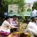 Over 77,000 Saplings Planted in the Yamuna Authority Area Under the "One Tree in Mother's Name" Campaign | IMAGE CREDIT TO प्राधिकरण
