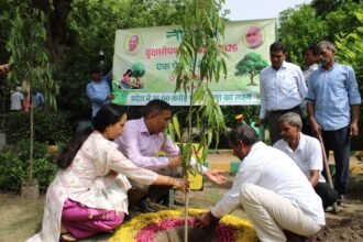 Over 77,000 Saplings Planted in the Yamuna Authority Area Under the "One Tree in Mother's Name" Campaign | IMAGE CREDIT TO प्राधिकरण
