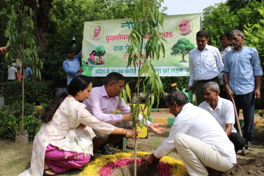 Over 77,000 Saplings Planted in the Yamuna Authority Area Under the "One Tree in Mother's Name" Campaign | IMAGE CREDIT TO प्राधिकरण
