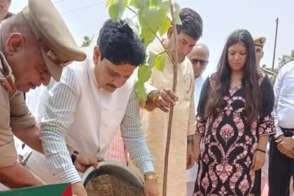 Gautam Buddh Nagar Sets New Record in the "One Tree in Mother's Name" Mega Campaign; 10.15 Lakh Saplings Planted | IMAGE CREDIT TO सूचना विभाग