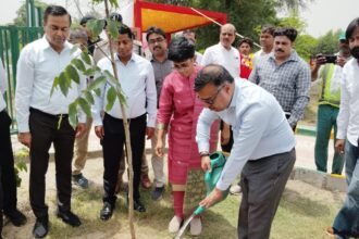 "One Tree in Mother's Name" Campaign Gives New Momentum to Greenery; Large-Scale Tree Plantation Conducted in Greater Noida | IMAGE CREDIT TO प्राधिकरण