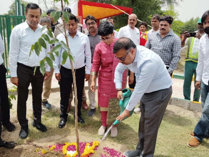 "One Tree in Mother's Name" Campaign Gives New Momentum to Greenery; Large-Scale Tree Plantation Conducted in Greater Noida | IMAGE CREDIT TO प्राधिकरण