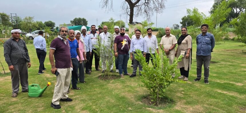 Ghaziabad: 'Green Ghaziabad' slogan echoes in Madhuban Bapudham; GDA conducts massive tree plantation drive. IMAGE CREDIT TO प्राधिकरण