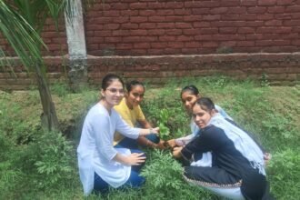 Plantation drive held at Maples Girls College; students conveyed the message of environmental conservation. | IMAGE CREDIT TO कॉलेज