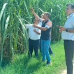 Deputy Sugarcane Commissioner Inspects Khatauli Mill Area, Urges Farmers to Adopt Scientific Farming Practices. IMAGE CREDIT TO रिपोर्टर