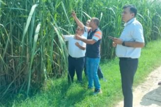 Deputy Sugarcane Commissioner Inspects Khatauli Mill Area, Urges Farmers to Adopt Scientific Farming Practices. IMAGE CREDIT TO रिपोर्टर