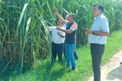 Deputy Sugarcane Commissioner Inspects Khatauli Mill Area, Urges Farmers to Adopt Scientific Farming Practices. IMAGE CREDIT TO रिपोर्टर