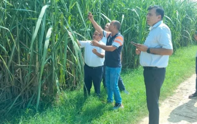 Deputy Sugarcane Commissioner Inspects Khatauli Mill Area, Urges Farmers to Adopt Scientific Farming Practices. IMAGE CREDIT TO रिपोर्टर